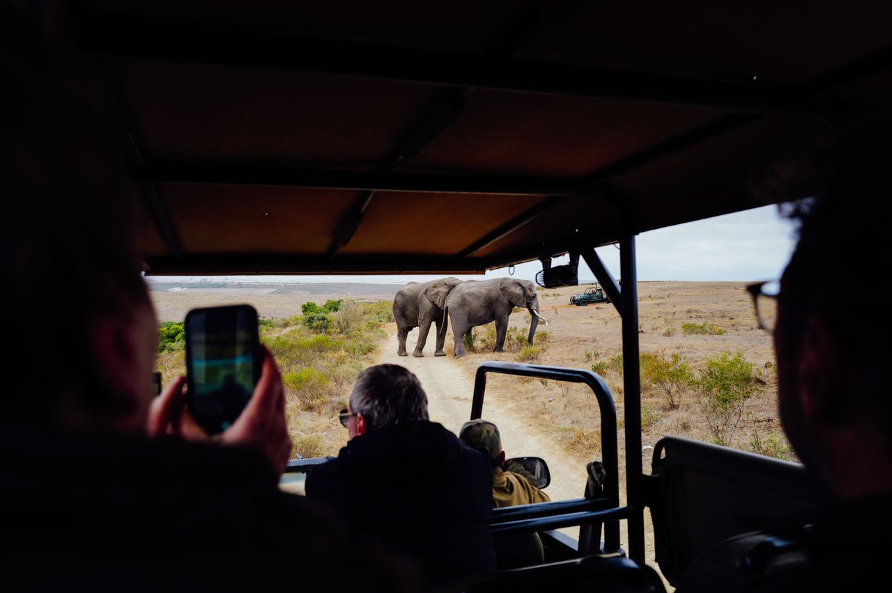 Tourists observe African elephants from a safari vehicle during an adventurous wildlife tour.